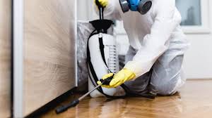 Real Estate Pest Inspections in Hahira, GA